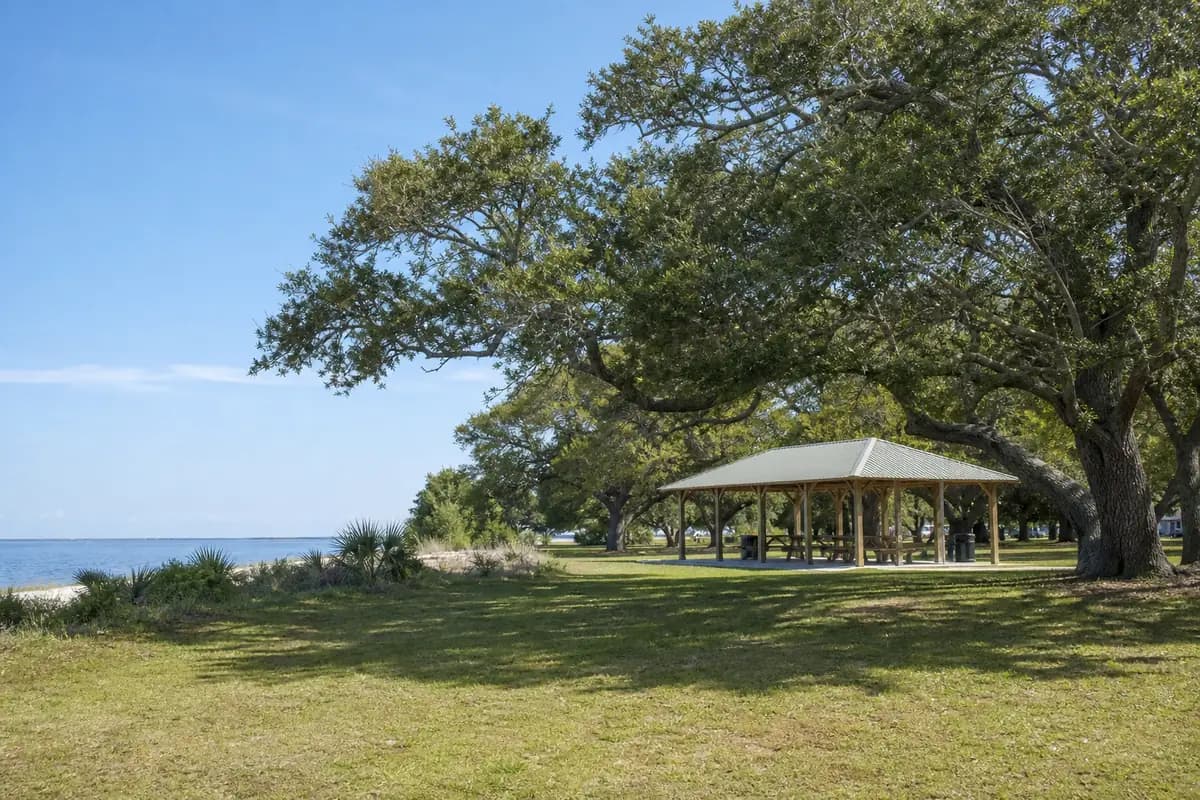 An illustration of a quiet neighbourhood park with a picnic pavilion under spreading live oaks, open grass in front, for Bayfield Park