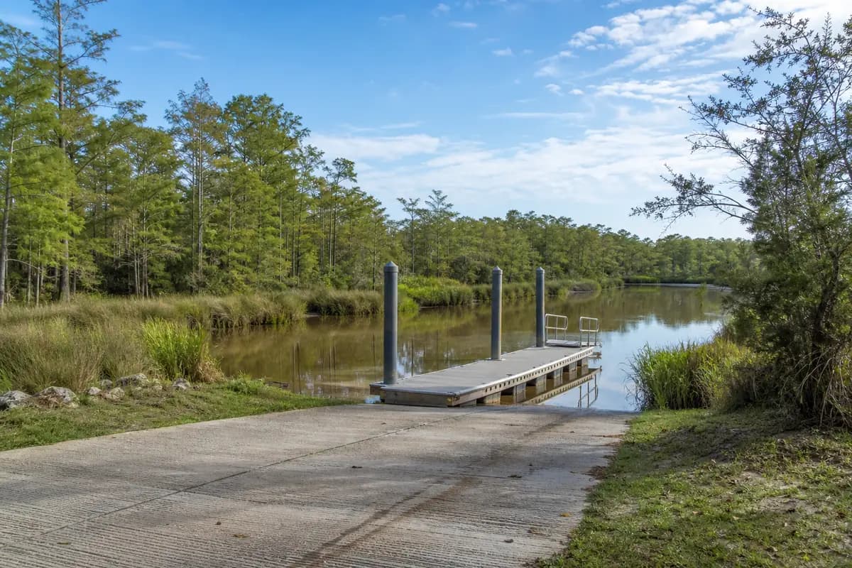 An illustration of a public boat landing on a narrow, tea-coloured creek lined with cypress and marsh grass, a small floating dock, for Four Mile Creek Landing