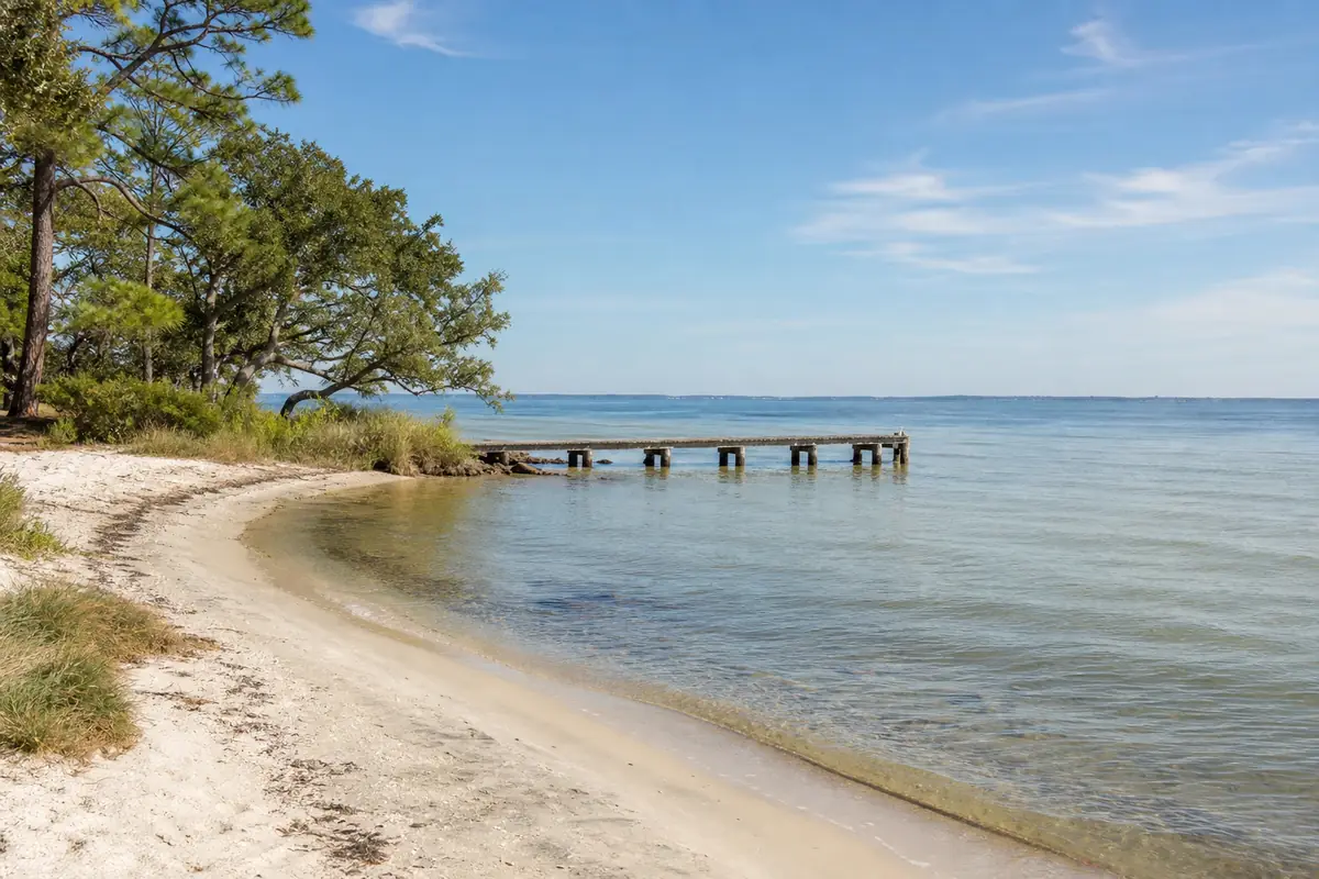 A small sandy beach on a calm bay with pines and live oaks along the shore, a short wooden pier: an illustration for Freeport's beach tile.