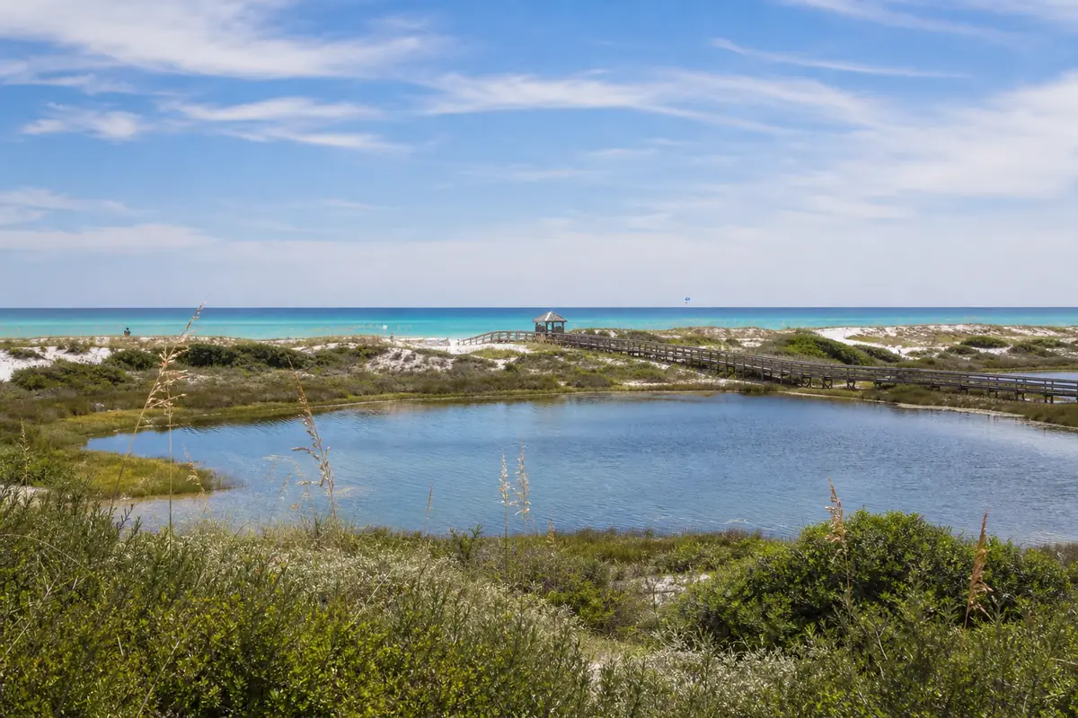 An illustration of a coastal dune lake behind low white dunes with sea oats, the Gulf just beyond, a boardwalk crossing the dunes, for Deer Lake State Park
