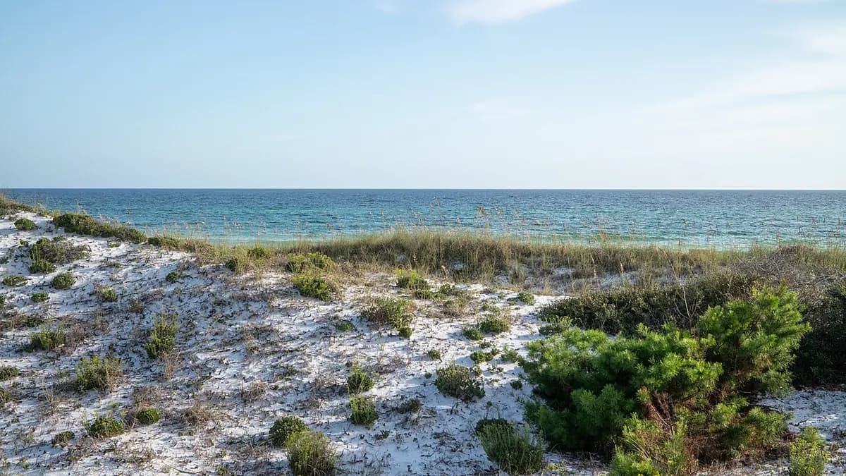Topsail Hill Preserve State Park: a photograph from Wikimedia Commons.
