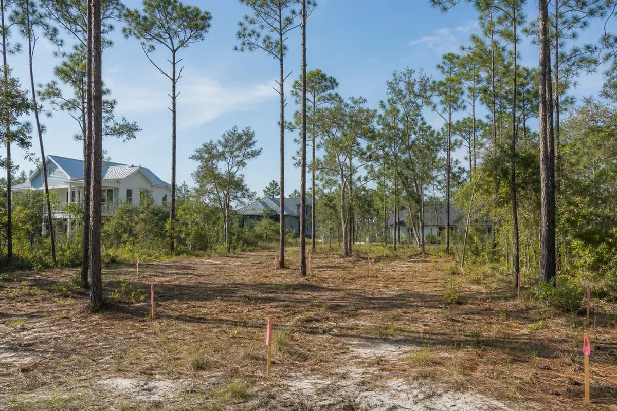 An illustration of the kind of development: NatureWalk Tract L