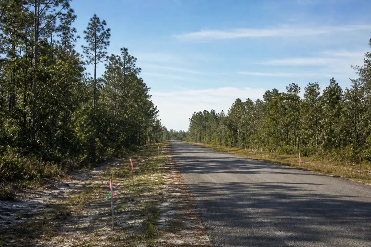 An illustration of the kind of development: San Roy Abandonment