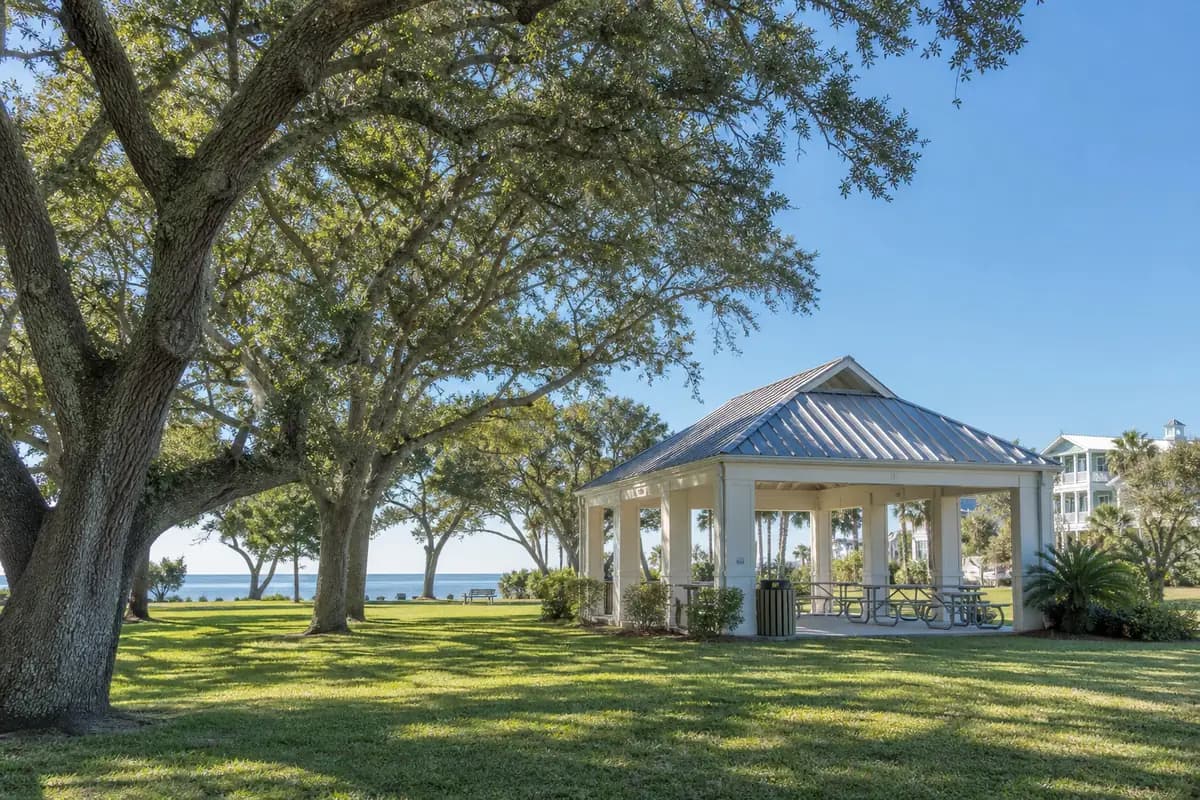 An illustration of a quiet neighbourhood park with a picnic pavilion under spreading live oaks, open grass in front, for Padgett Park